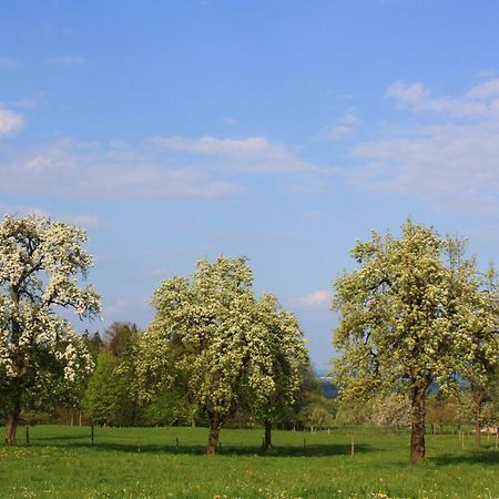 Appartements Apfelbluete Bad Feilnbach Bagian luar foto