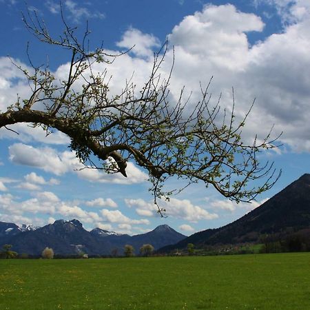 Appartements Apfelbluete Bad Feilnbach Bagian luar foto