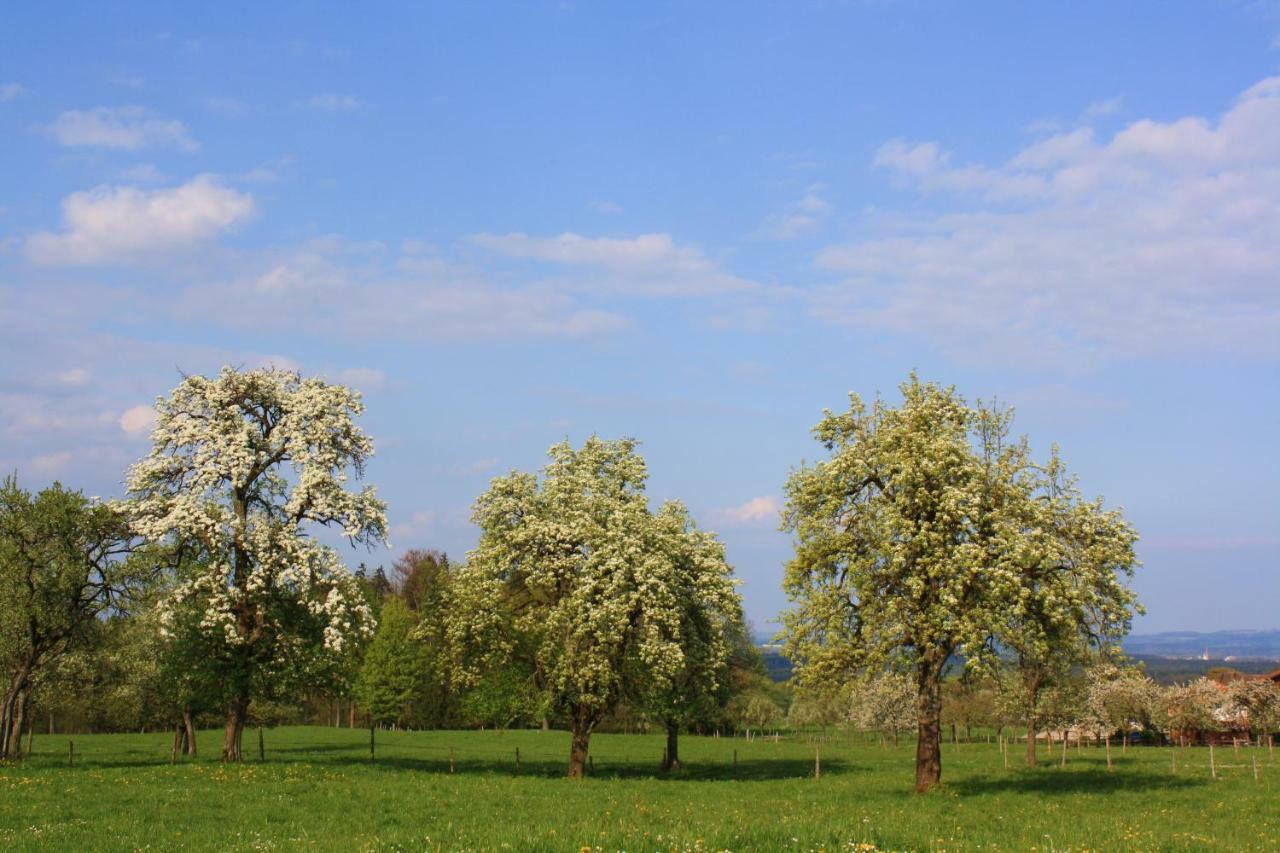 Appartements Apfelbluete Bad Feilnbach Bagian luar foto