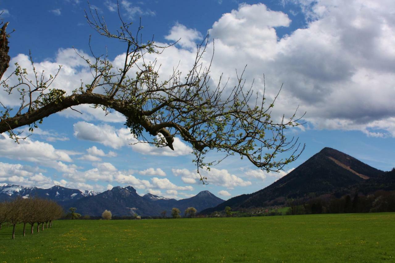 Appartements Apfelbluete Bad Feilnbach Bagian luar foto